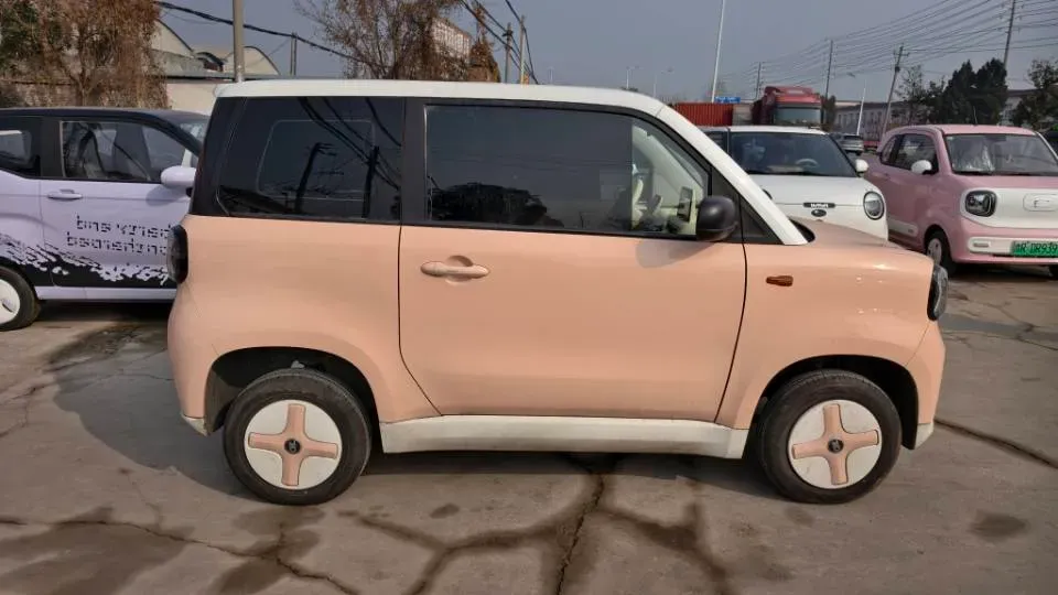 2024 ZD Rainbow BEV 17.18KWH,autocango,china used car exporter,china ev exporter,chinese used car exporter,chinese used ev exporter