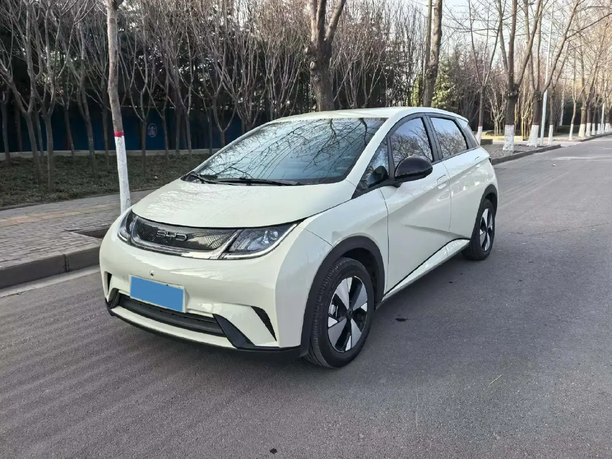 2023 BYD Dolphin BEV 44.928KWH