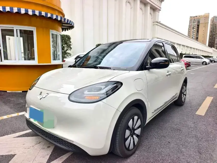 2025 WuLing BinGuo BEV