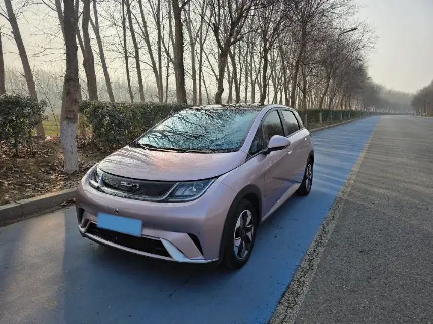 2024 BYD Dolphin BEV 44.928KWH