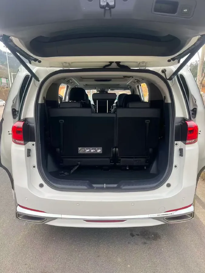 2021 GAC Trumpchi M8 2.0T 252HP L4 8AT,autocango,china used car exporter,china ev exporter,chinese used car exporter,chinese used ev exporter