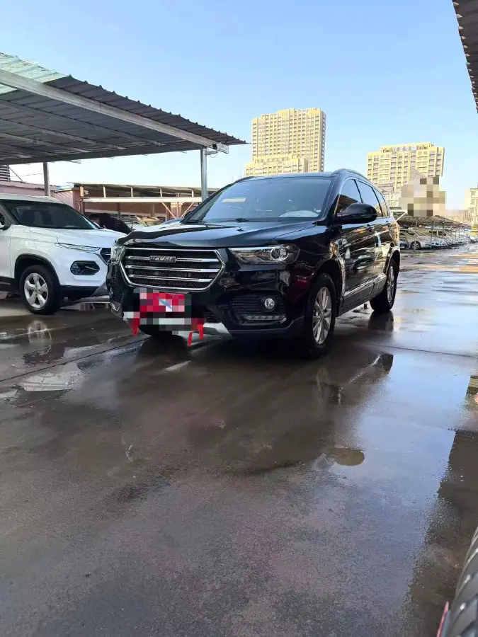 2019 WEY VV6 2.0T 224HP L4 7DCT