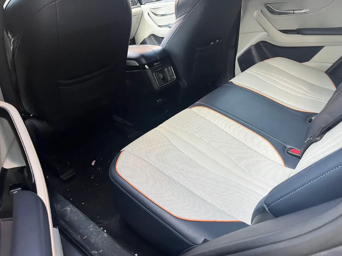 2021 SRM Sea Lion EV BEV 41.86KWH,autocango,china used car exporter,china ev exporter,chinese used car exporter,chinese used ev exporter