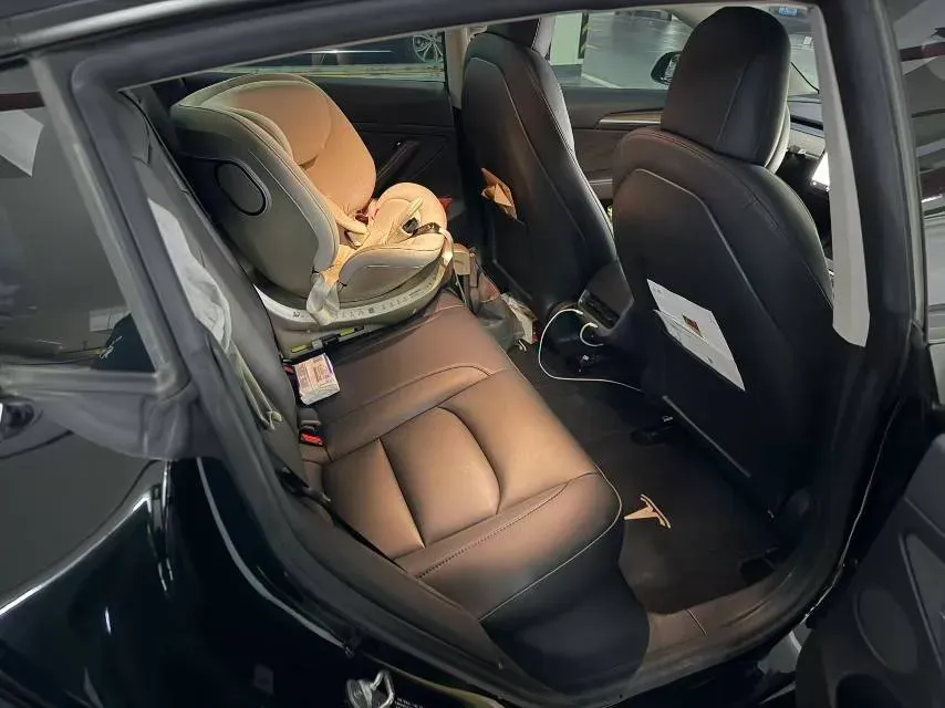 2021 Tesla Model 3 BEV 55KWH,autocango,china used car exporter,china ev exporter,chinese used car exporter,chinese used ev exporter