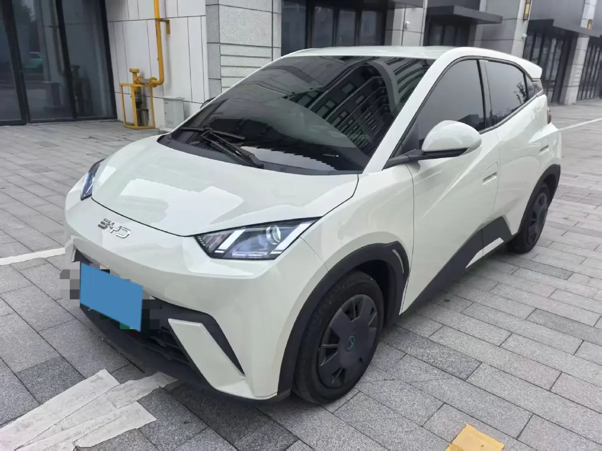2025 BYD Seagull BEV 30.08KWH
