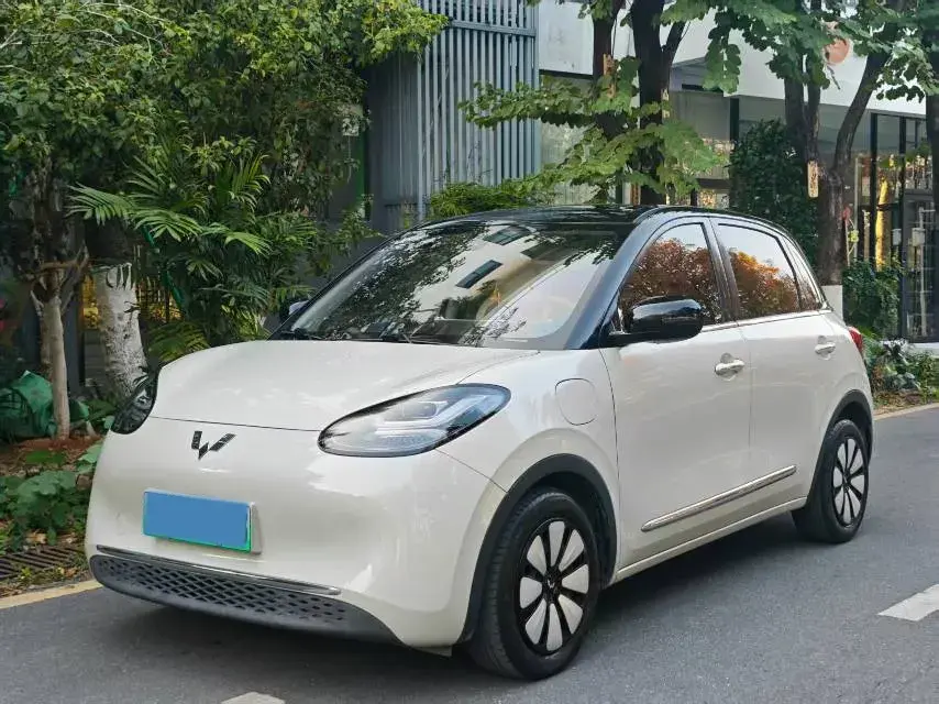 2023 WuLing BinGuo BEV 31.9KWH
