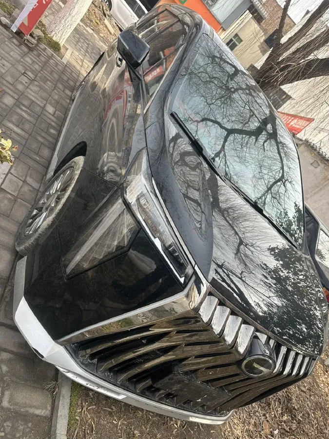 2024 GAC Trumpchi M8 2.0T 252HP L4 8AT,autocango,china used car exporter,china ev exporter,chinese used car exporter,chinese used ev exporter