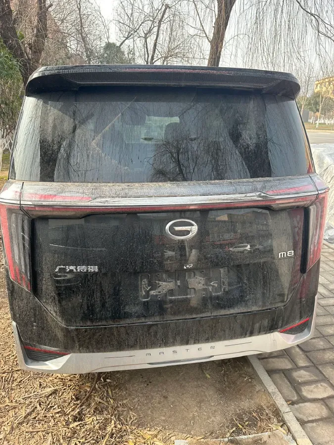 2024 GAC Trumpchi M8 2.0T 252HP L4 8AT,autocango,china used car exporter,china ev exporter,chinese used car exporter,chinese used ev exporter