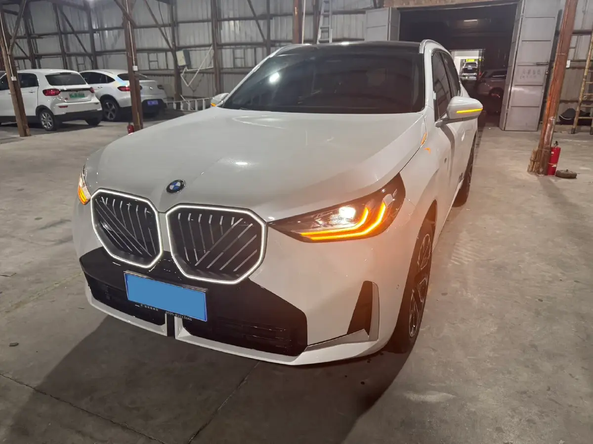 2025 BMW X3 2.0T 258HP L4 8AT