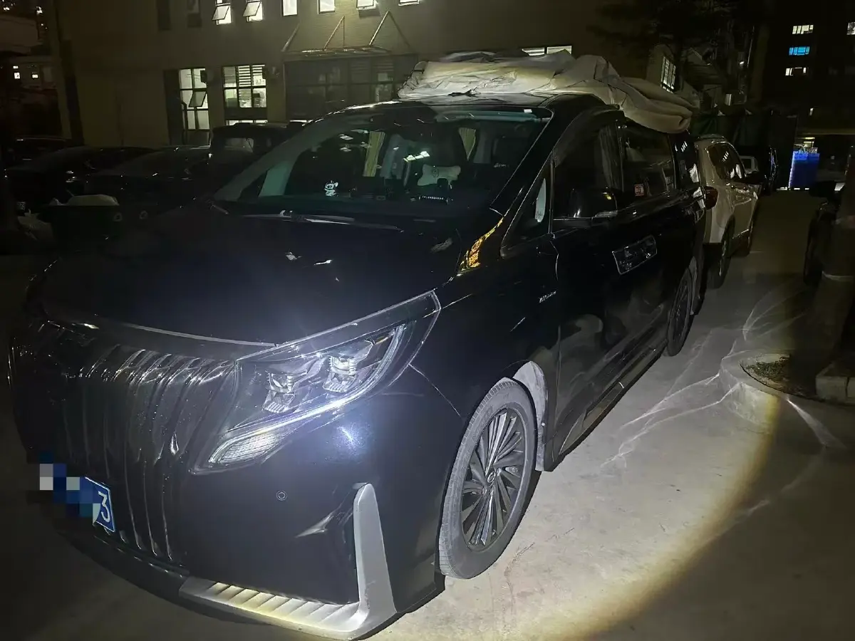 2021 GAC Trumpchi M8 2.0T 252HP L4 8AT