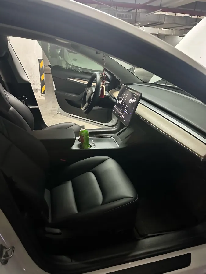 2021 Tesla Model 3 BEV 55KWH,autocango,china used car exporter,china ev exporter,chinese used car exporter,chinese used ev exporter