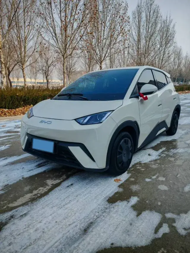 2024 BYD Seagull BEV 30.08KWH