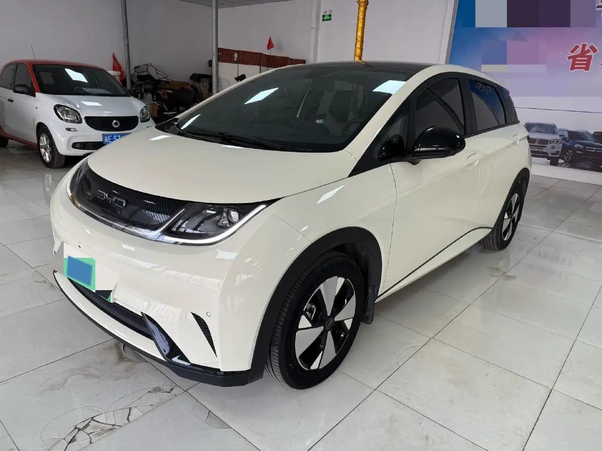 2023 BYD Dolphin BEV 44.928KWH