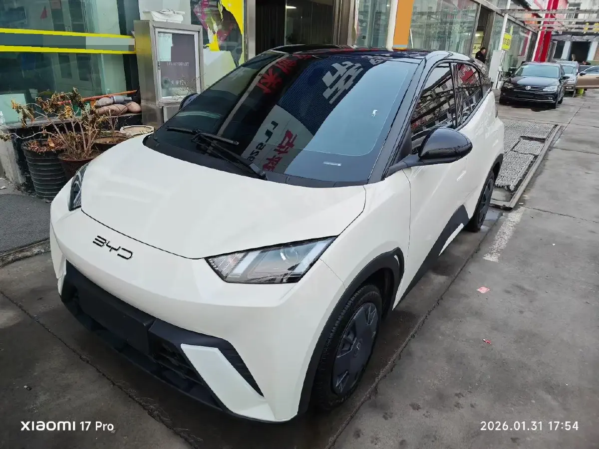2023 BYD Seagull BEV 30.08KWH
