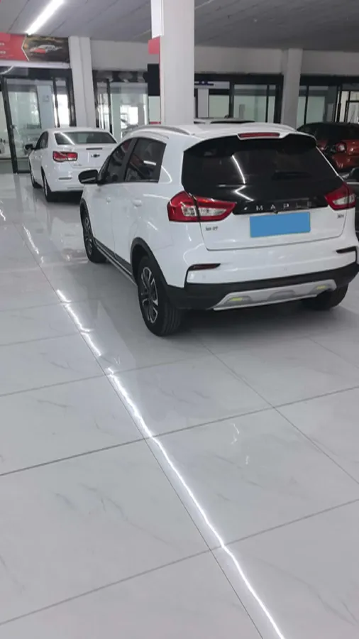 2020 Livan Maple 30X BEV 37KWH,autocango,china used car exporter,china ev exporter,chinese used car exporter,chinese used ev exporter