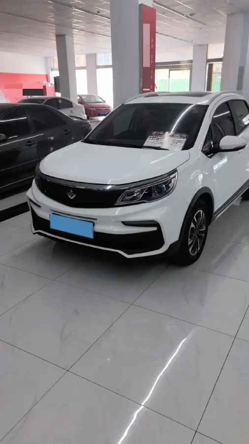 2020 Livan Maple 30X BEV 37KWH