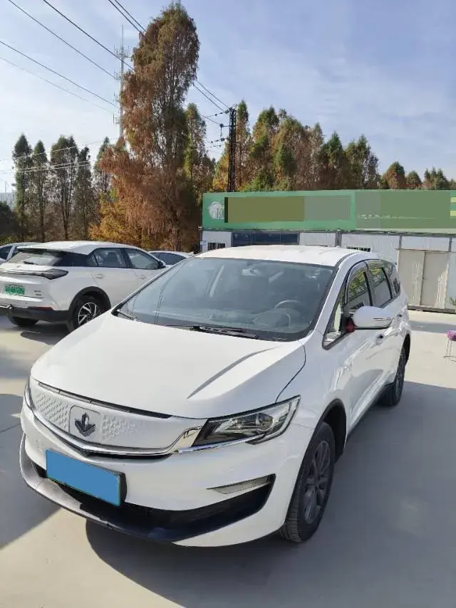 2021 Livan Maple 80v BEV 53KWH