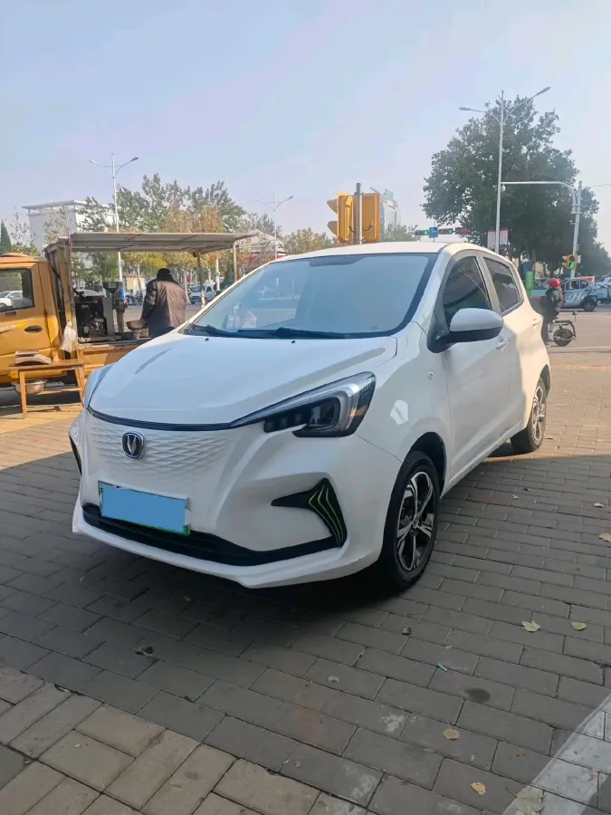 2022 ChangAn BenBen E-Star BEV 31.95KWH,autocango,china used car exporter,china ev exporter,chinese used car exporter,chinese used ev exporter