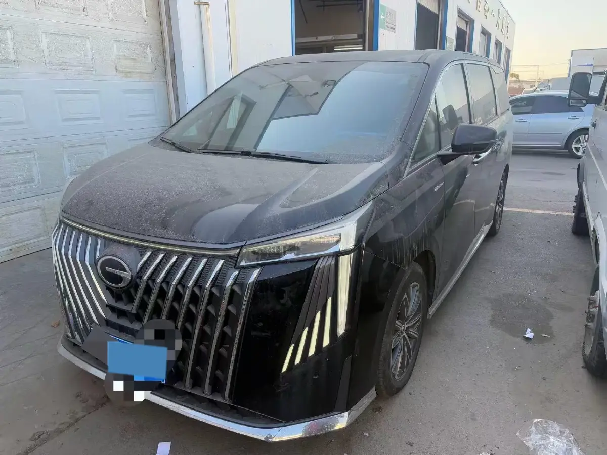 2024 GAC Trumpchi M8 2.0T 252HP L4 8AT