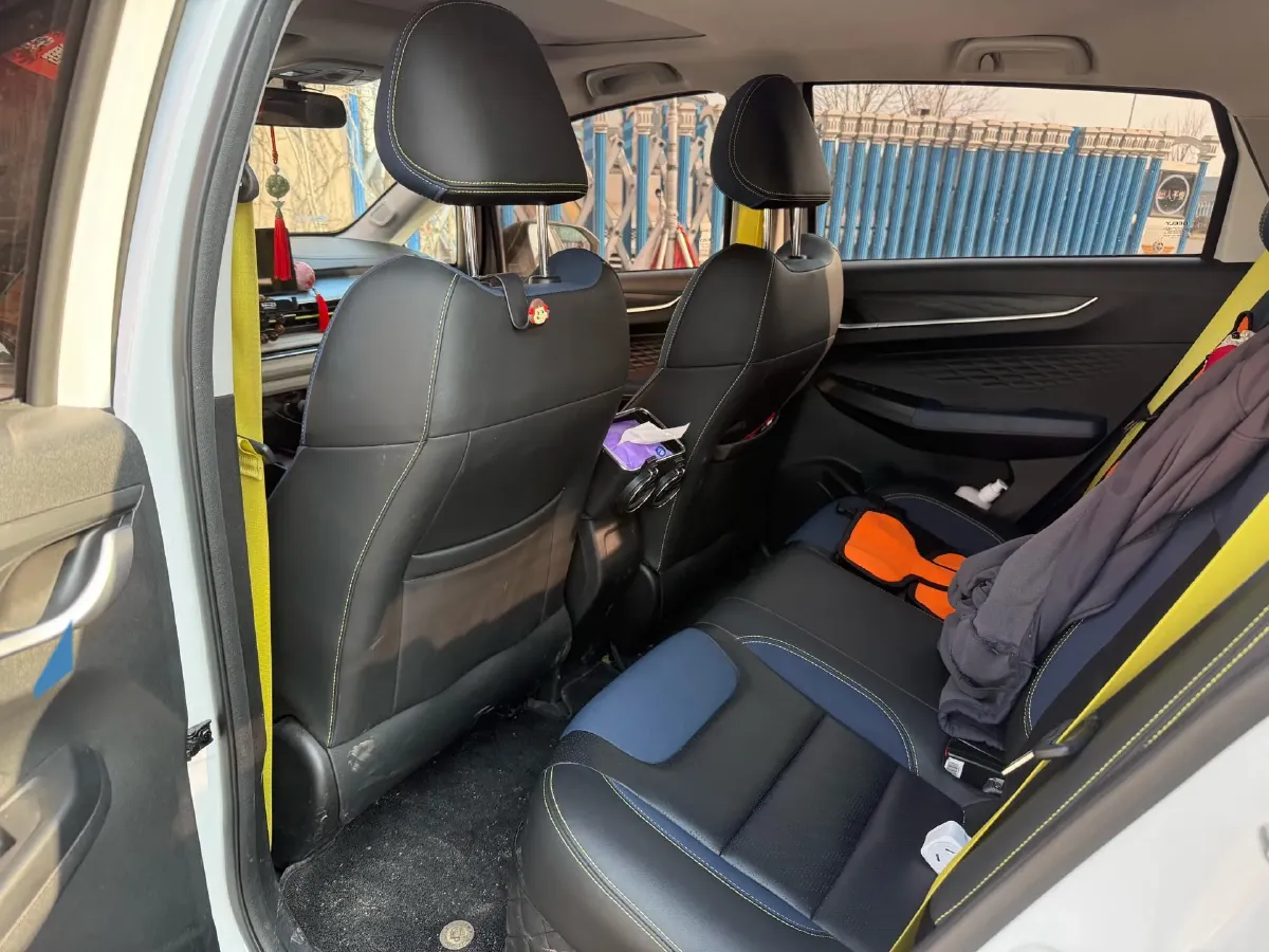 2021 Geometry EX3 BEV 37.23KWH,autocango,china used car exporter,china ev exporter,chinese used car exporter,chinese used ev exporter