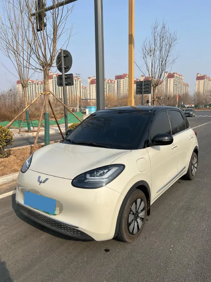 2024 WuLing BinGuo BEV 31.9KWH