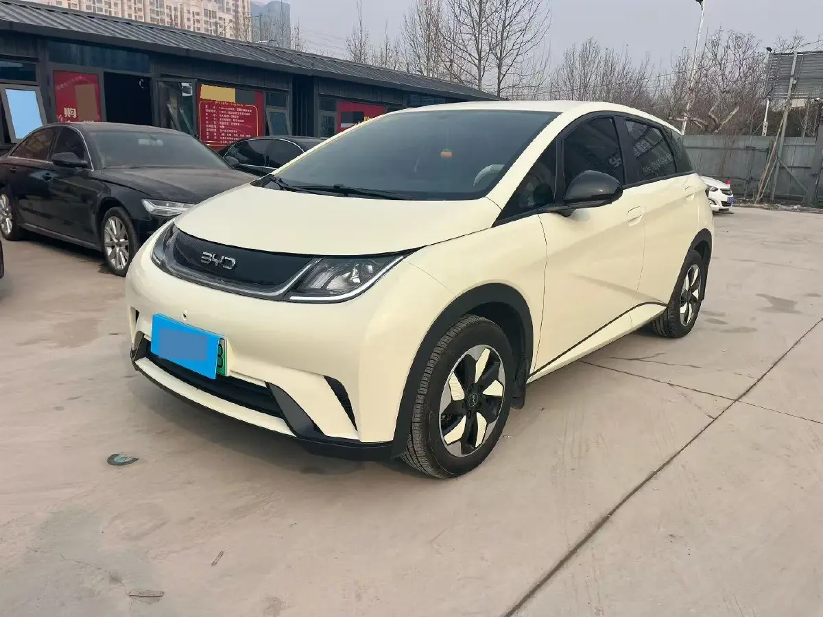 2025 BYD Dolphin BEV 45.12KWH