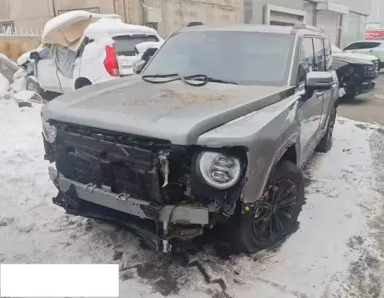 2024 Haval Raptor 1.5T 167HP L4 2DHT PHEV 18.74KWH