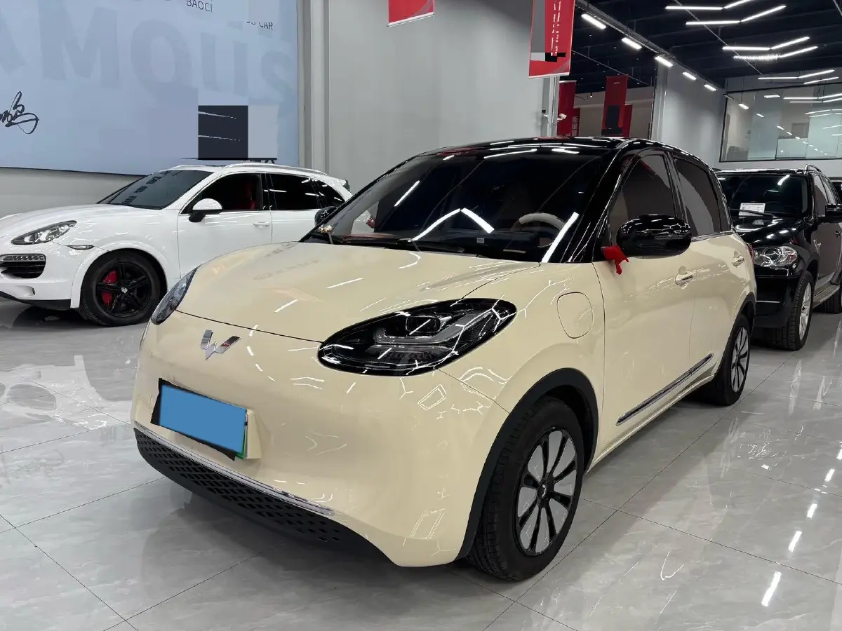 2025 WuLing BinGuo BEV