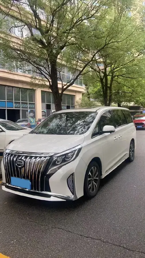 2023 GAC Trumpchi M8 2.0T 252HP L4 8AT