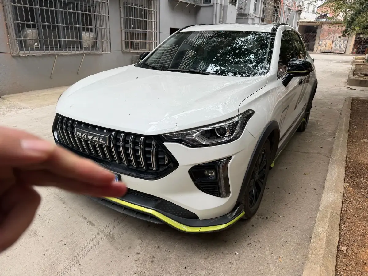 2021 Haval Rabbit 1.5T 184HP L4 7DCT