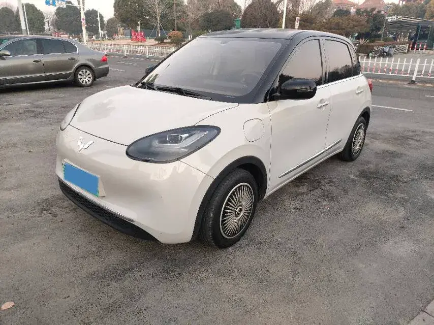 2023 WuLing BinGuo BEV 31.9KWH