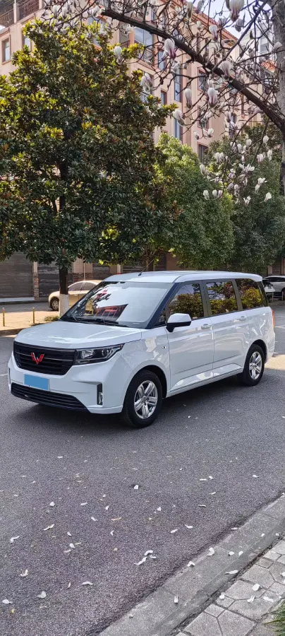2019 WuLing HongGuang Plus 1.5T 147HP L4 6MT