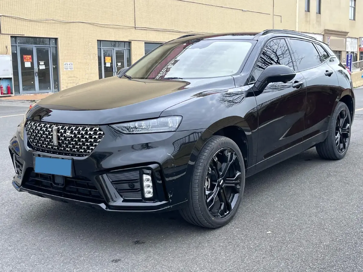 2020 WEY VV7 2.0T 227HP L4 7DCT