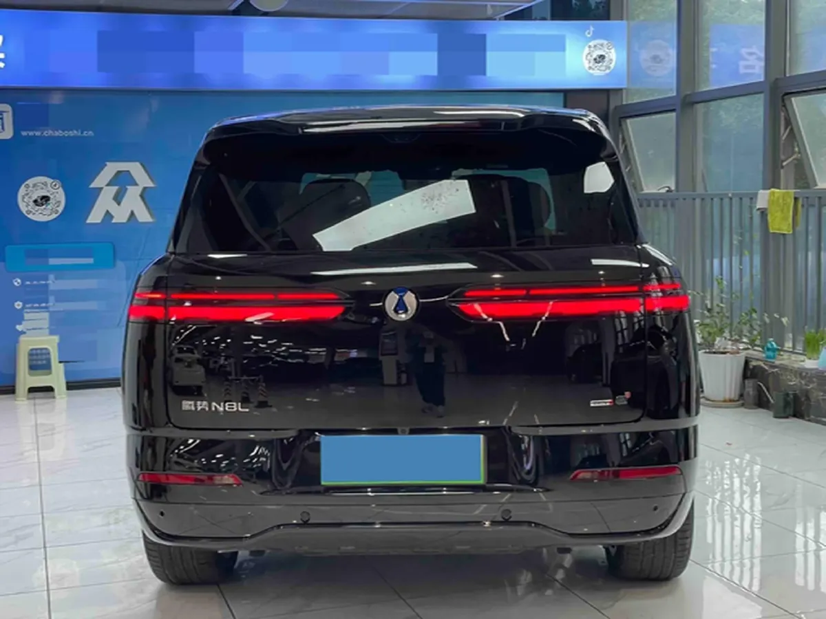 2025 Denza DenzaN8L 2.0T 207HP L4 E-CVT PHEV,autocango,china used car exporter,china ev exporter,chinese used car exporter,chinese used ev exporter