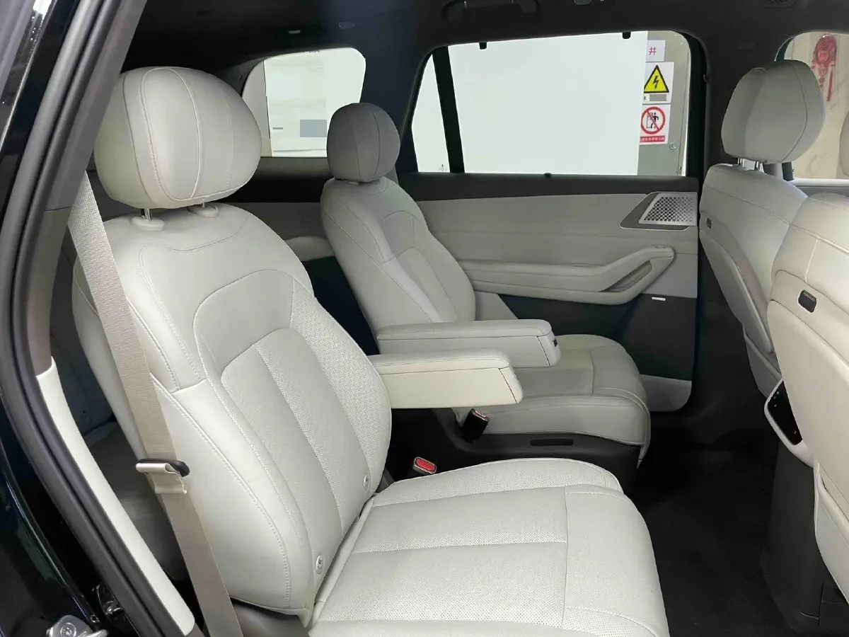 2025 Denza DenzaN8L 2.0T 207HP L4 E-CVT PHEV,autocango,china used car exporter,china ev exporter,chinese used car exporter,chinese used ev exporter