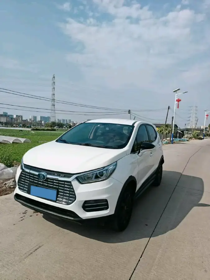 2018 BYD Yuan BEV 42KWH