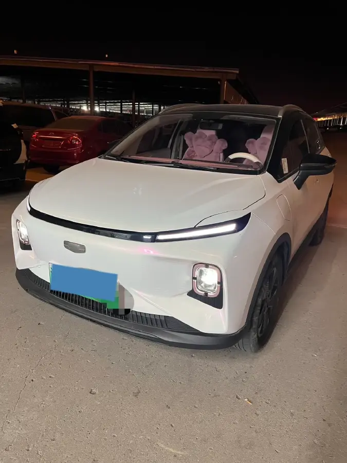 2024 Geometry E BEV 29.67KWH