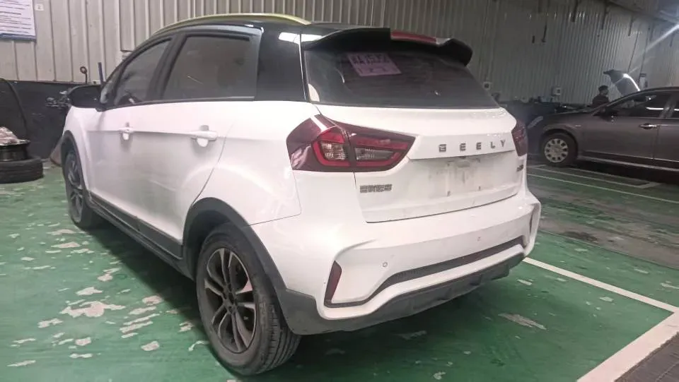 2021 Geometry EX3 BEV 37.23KWH,autocango,china used car exporter,china ev exporter,chinese used car exporter,chinese used ev exporter