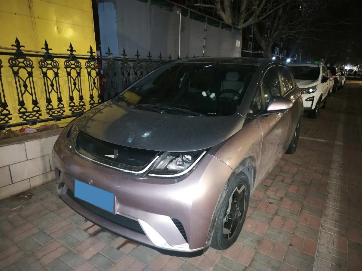 2021 BYD Yuan Pro BEV 50.1KWH