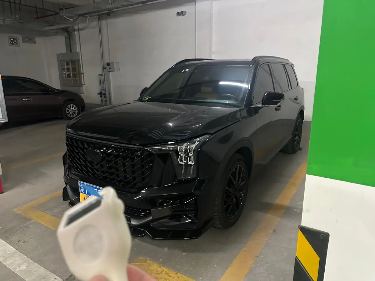 2024 GAC Trumpchi GS8 2.0T 252HP L4 8AT