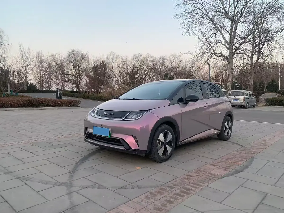 2021 BYD Dolphin BEV 44.9KWH
