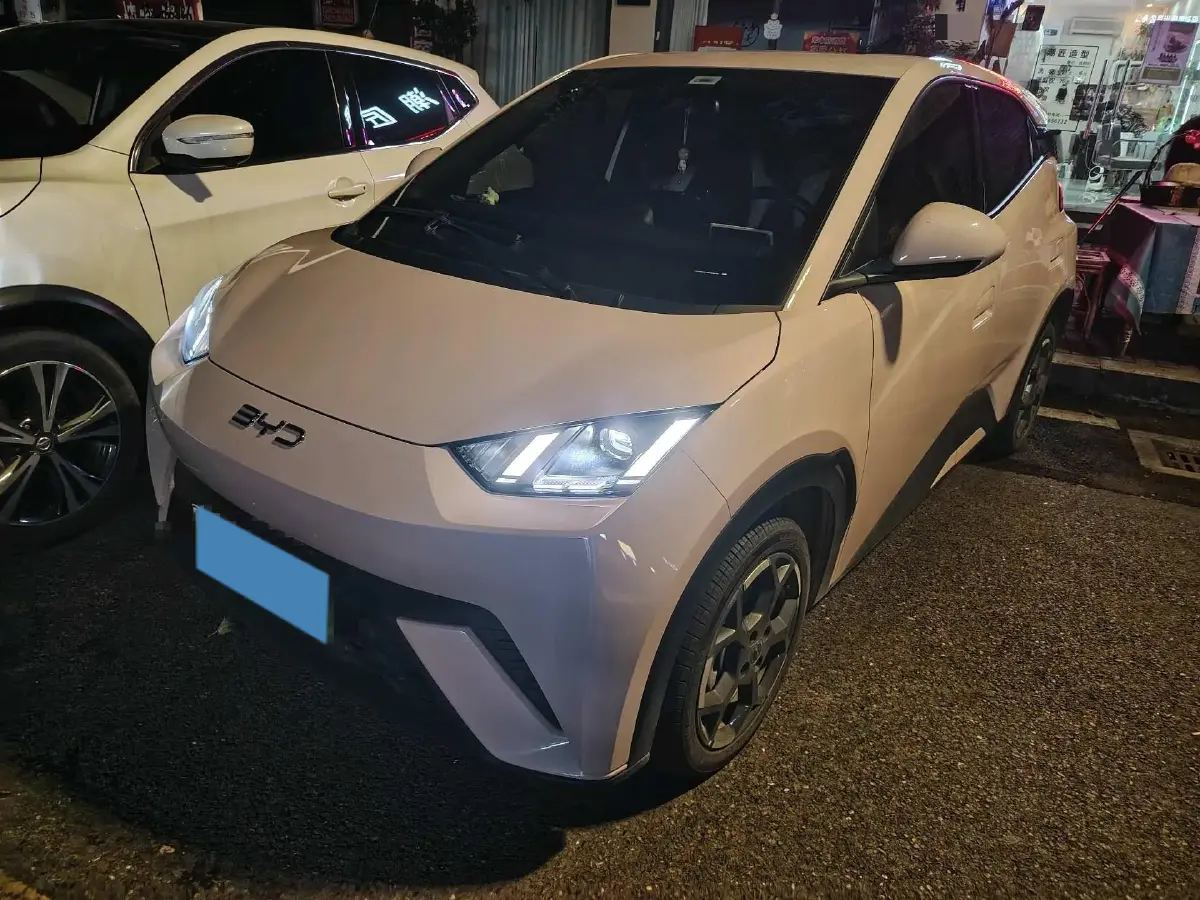 2024 BYD Seagull BEV 30.08KWH