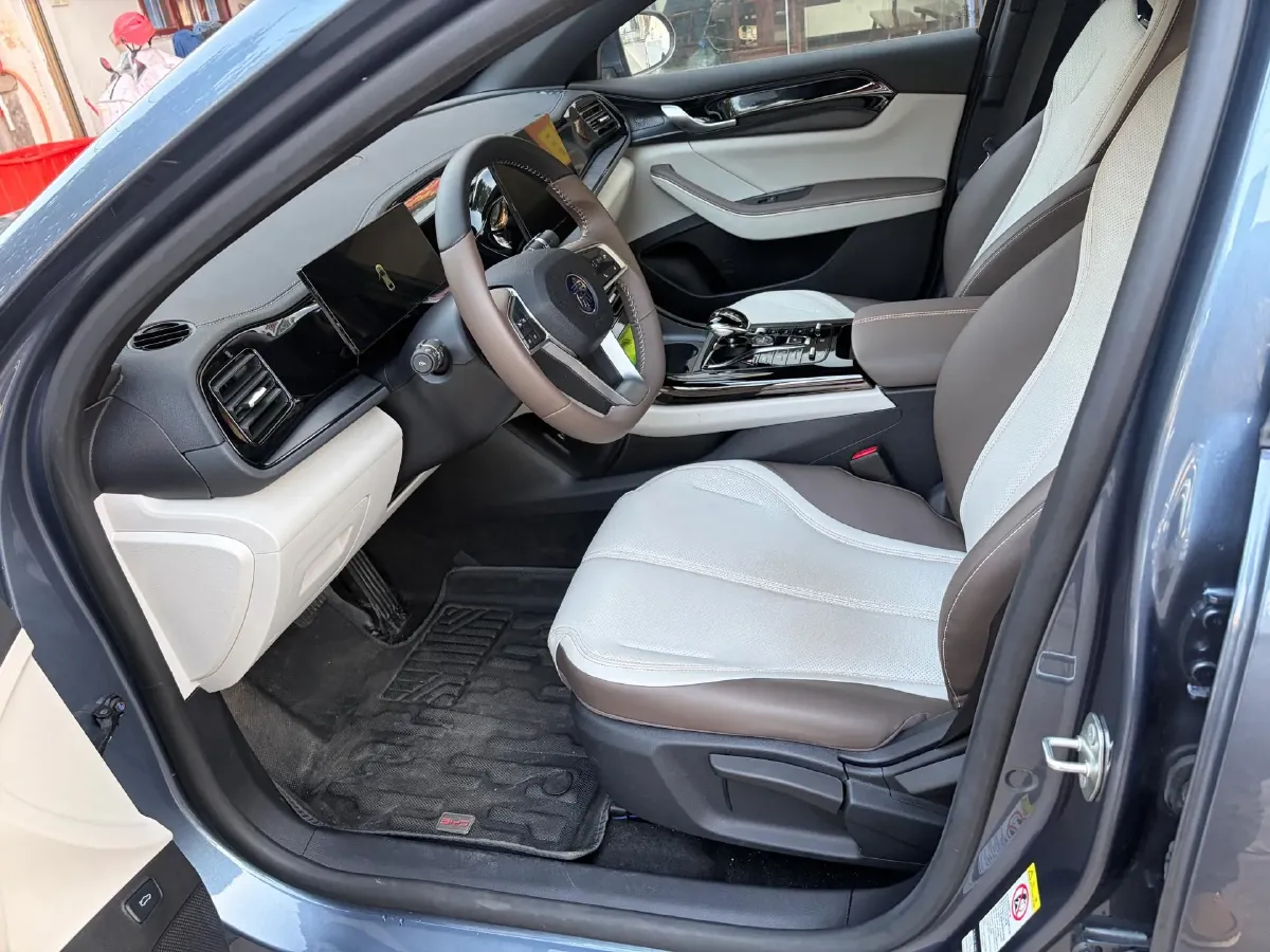 2023 EV House YOUNG BEV 38.54KWH,autocango,china used car exporter,china ev exporter,chinese used car exporter,chinese used ev exporter