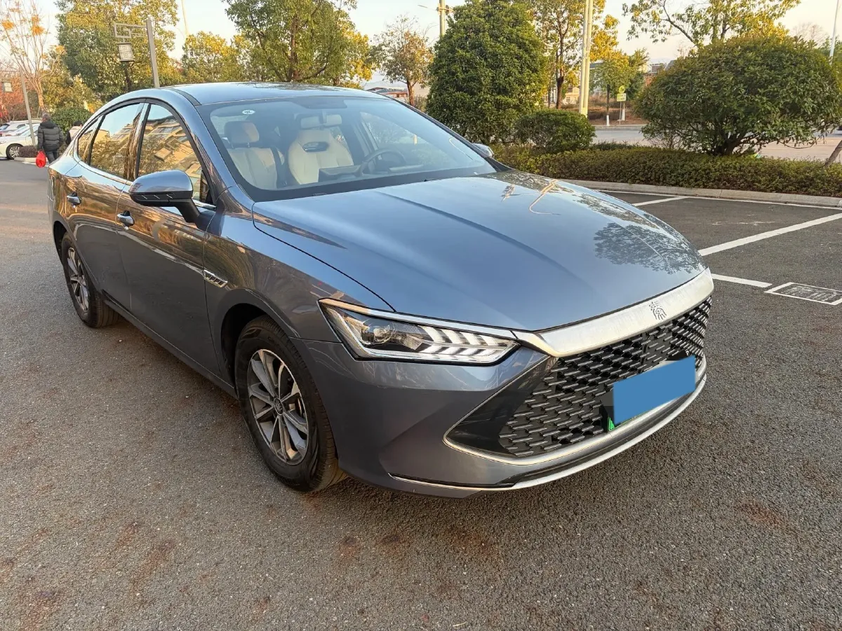 2023 EV House YOUNG BEV 38.54KWH,autocango,china used car exporter,china ev exporter,chinese used car exporter,chinese used ev exporter