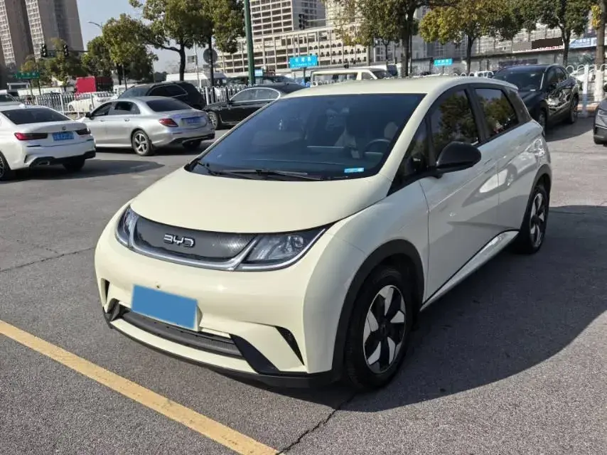 2024 BYD Dolphin BEV 44.928KWH