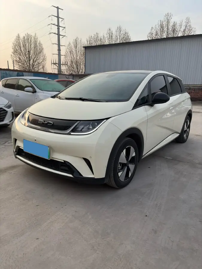2023 BYD Dolphin BEV 44.928KWH