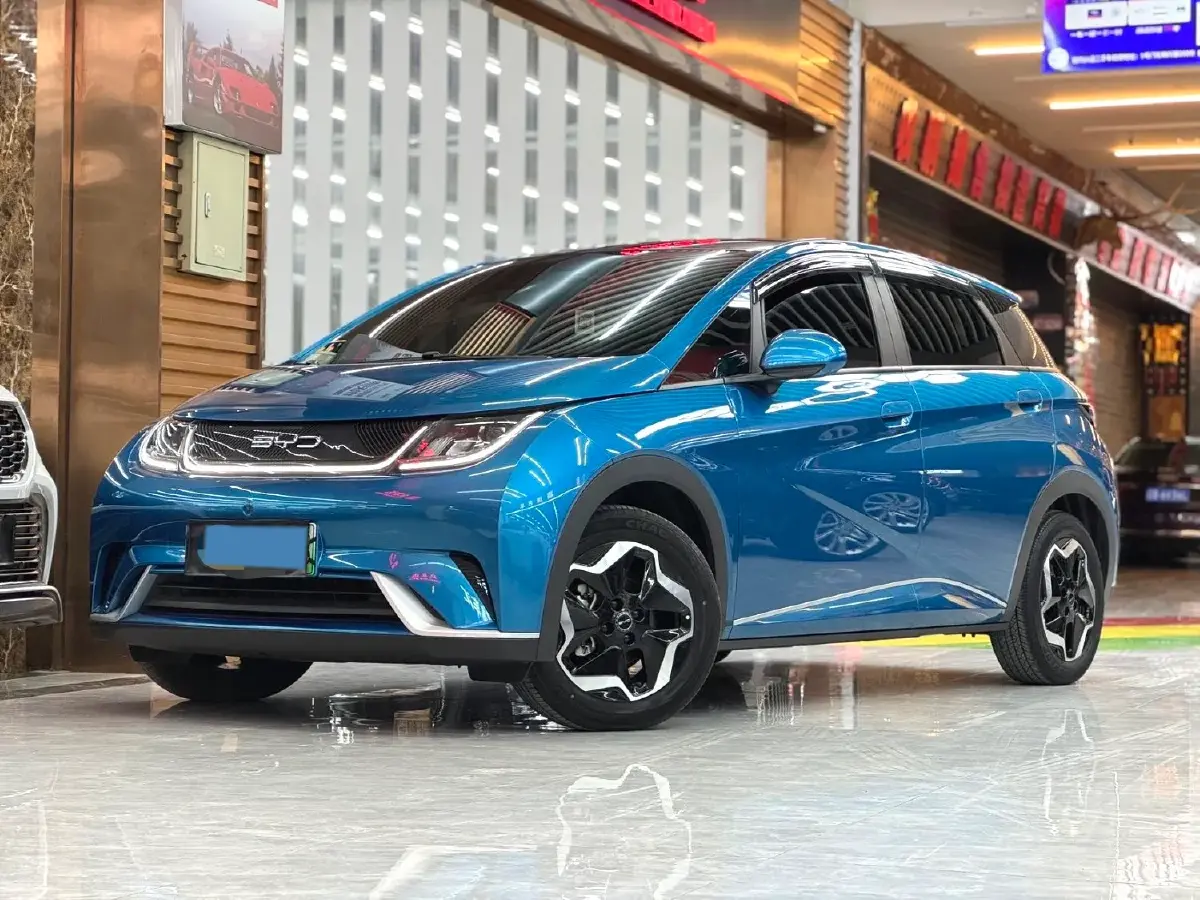 2021 BYD Yuan Pro BEV 50.1KWH