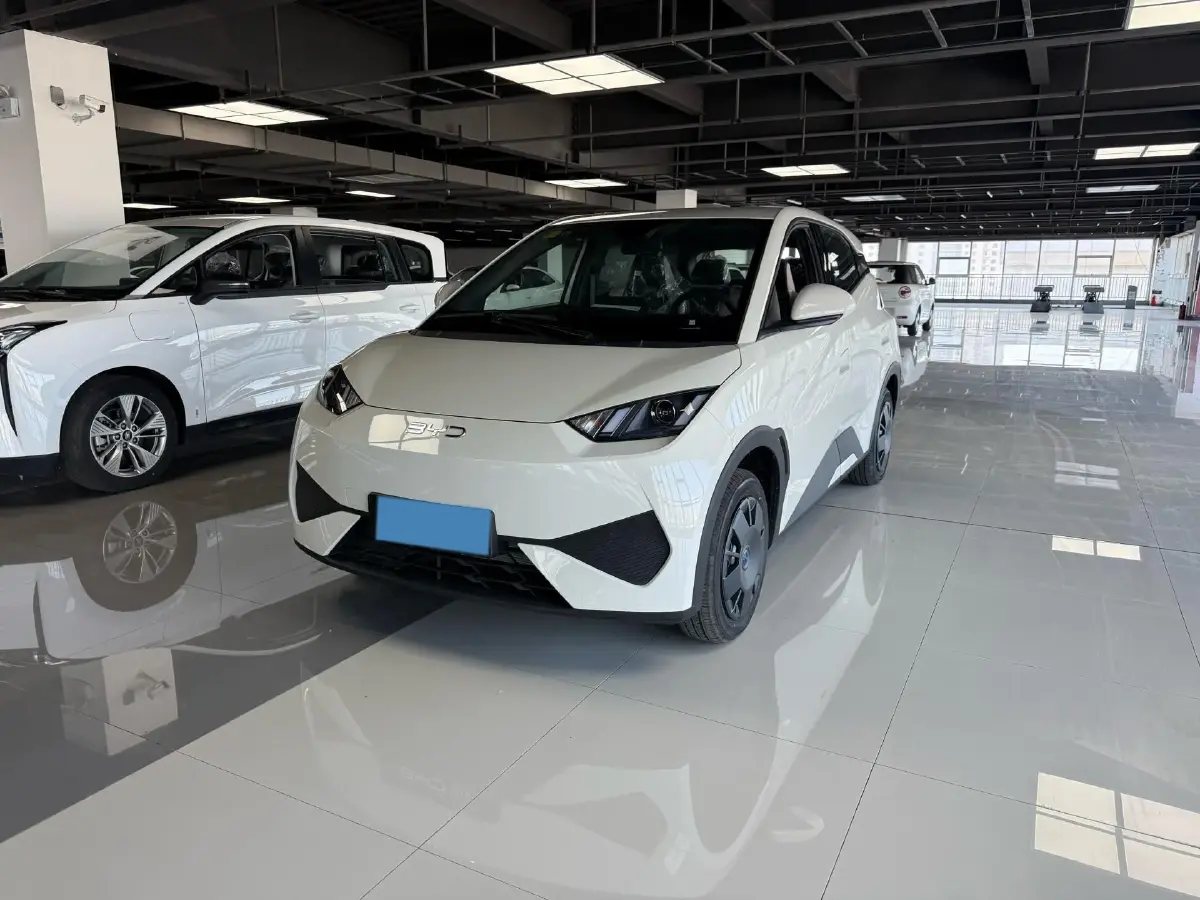 2025 BYD Seagull BEV 30.08KWH