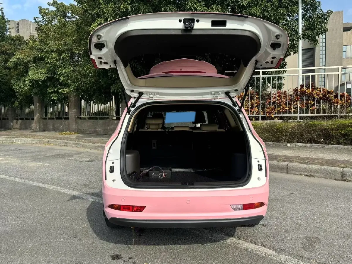 2019 Golden Dragon New Era Sea Lion 2.0L 102HP L4 5MT,autocango,china used car exporter,china ev exporter,chinese used car exporter,chinese used ev exporter