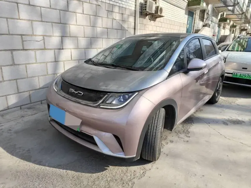 2021 BYD Yuan Pro BEV 50.1KWH